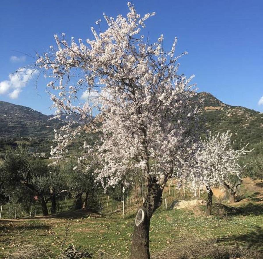 Su Barraccu Loceri