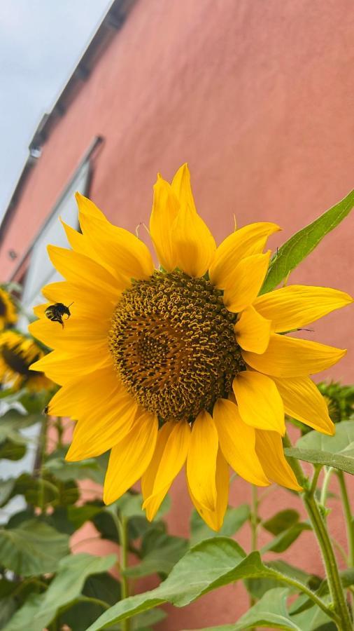 Agriturismo Su Barraccu * Loceri